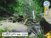 Водопад в джунглях – Анимированная Заставка скачать