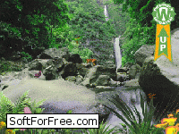 Скачать программа “Водопад в джунглях” – Анимированные Обои бесплатно
