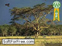 Скачать программа “Дерево жизни” – Анимированные Обои бесплатно