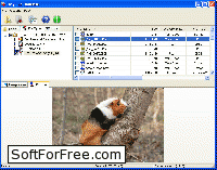 Скачать программа Easy NTFS File Undelete бесплатно