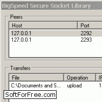 Скачать программа BigSpeed Secure Socket Library бесплатно