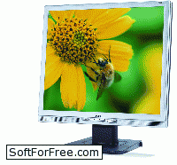 Скачать драйвер Acer AL 1917 LCD Monitor бесплатно