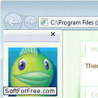 Big Fish Coupons для Internet Explorer скачать