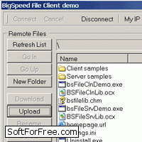 Скачать программа BigSpeed File Sharing SDK бесплатно