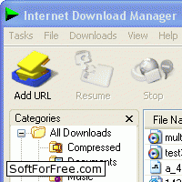 Скачать программа Internet Download Manager бесплатно