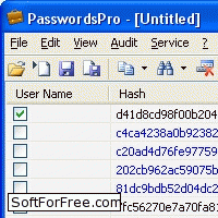 Скачать программа PasswordsPro бесплатно