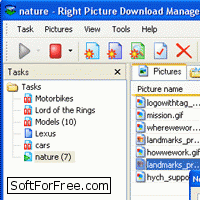 Right Picture Download Manager скачать