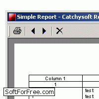 Скачать программа Catchysoft Report Generator Pro бесплатно