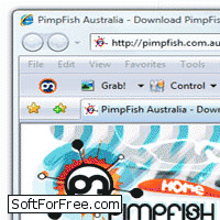 Скачать программа PimpFish Basic бесплатно